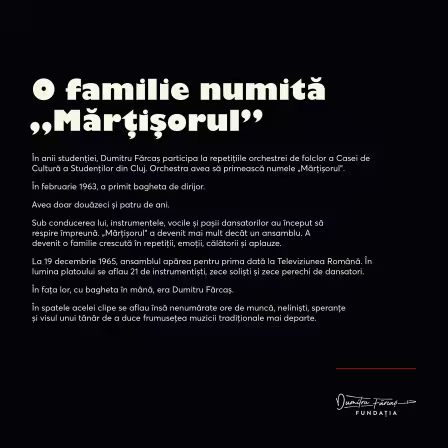 Dumitru Fărcaș Foundation - 10x10 - Text panel