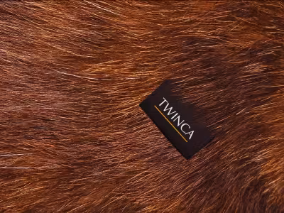 Twinca - Hero