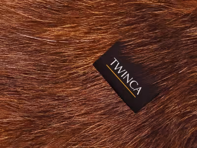 Twinca - Hero